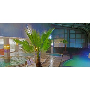 산방산탄산온천